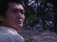 ,  (1984) -  14