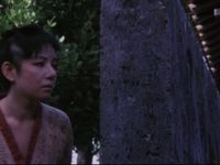 ,  (1984) -  1