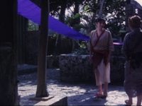 ,  (1984) -  16