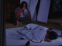 ,  (1984)