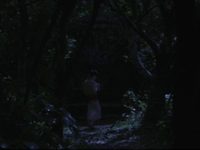 ,  (1984)