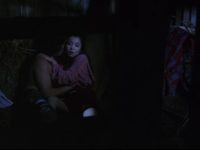 ,  (1984)
