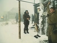 (1983)