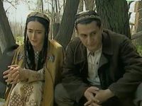  (2003)