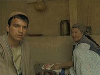  (2003)