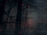  (2017) -  10