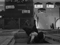   (1956) 
