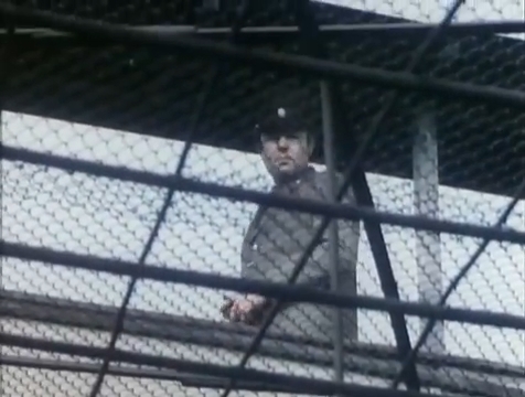  (1988)