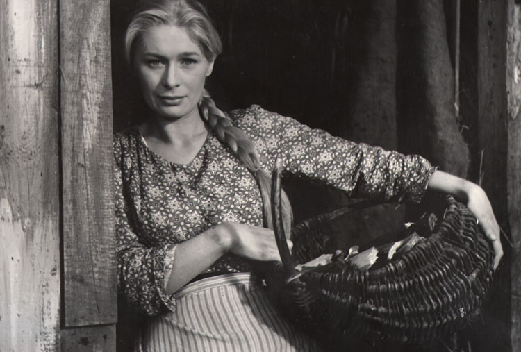    (1965)