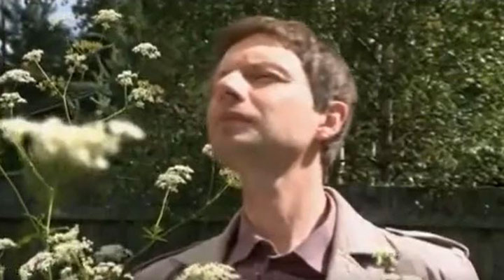   (2010)