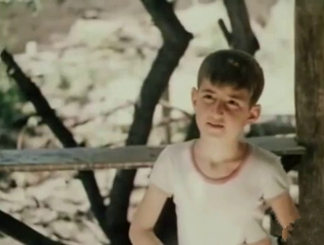    () (1980) -  
