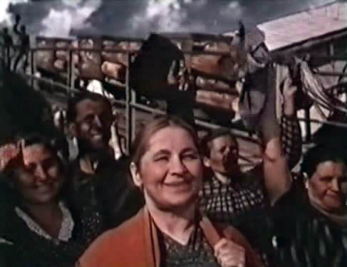  (1950)