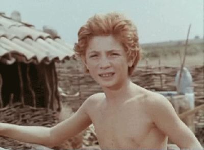      (1978)
