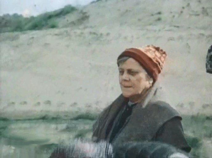   (1987)