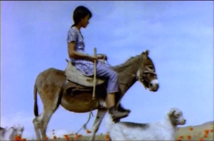   (2002)