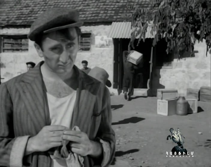   (1955)