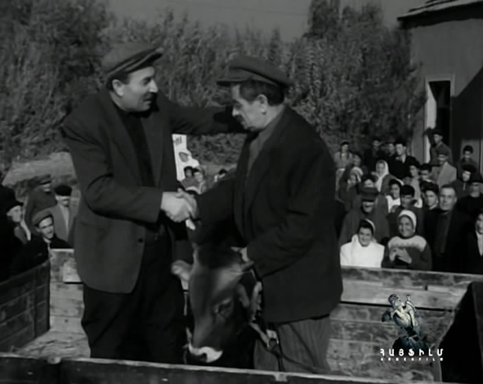   (1955)