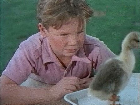   (1956)