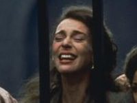   (1991)