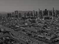   (2021) -  66