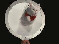    (2022) 
