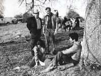    (1976)
