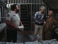   ,    (1981) 
