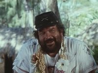   ,    (1981) 
