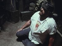   ,    (1981)