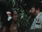   ,    (1981) -  5