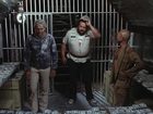   ,    (1981) -  7