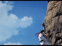   II (1994) 
