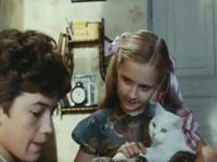  (1981)