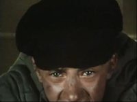  (1981)