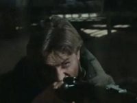  (1981)