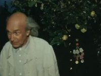  (1981)