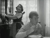   (1966)