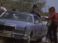  - ׸  (1974) -  13