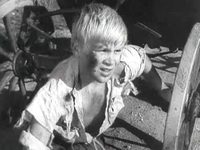   () (1959) -  -  13