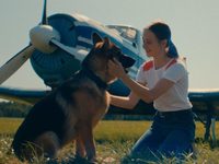 -2 (2025) 
