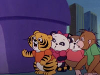    (1982-1984) 
