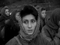   (1964)