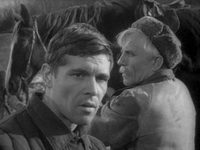   (1964)