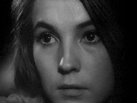   (1964) 
