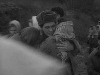   (1964)