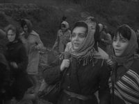   (1964)