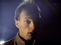   (1993) 
