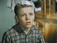    (1955) 
