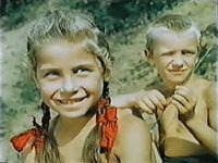    (1955)