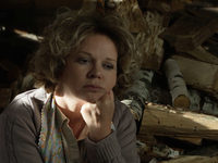    (2017)